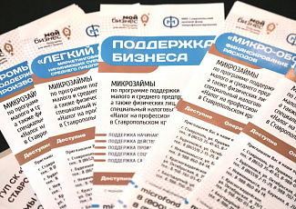 ПРЕДПРИНИМАТЕЛЯМ СТАВРОПОЛЬСКОГО КРАЯ ПРЕЗЕНТОВАЛИ АКТУАЛЬНЫЕ МЕРЫ ГОСУДАРСТВЕННОЙ ПОДДЕРЖКИ БИЗНЕСА